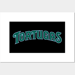 Daytona Tortugas Posters and Art